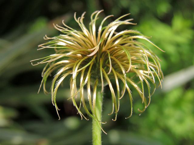 a0044076_1118066.jpg