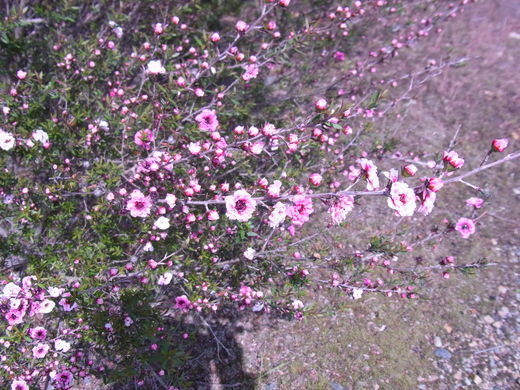 a0026882_10325794.jpg