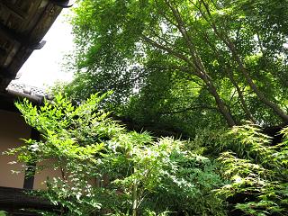 e0130185_207282.jpg