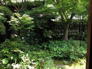 e0130185_2073316.jpg