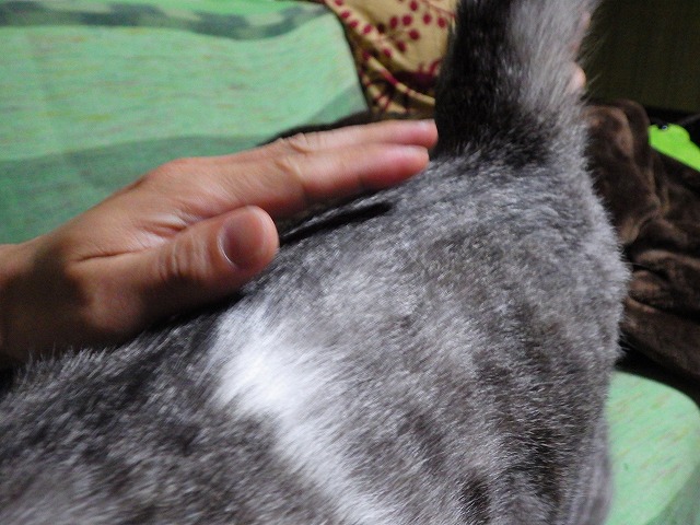 a0159490_162077.jpg