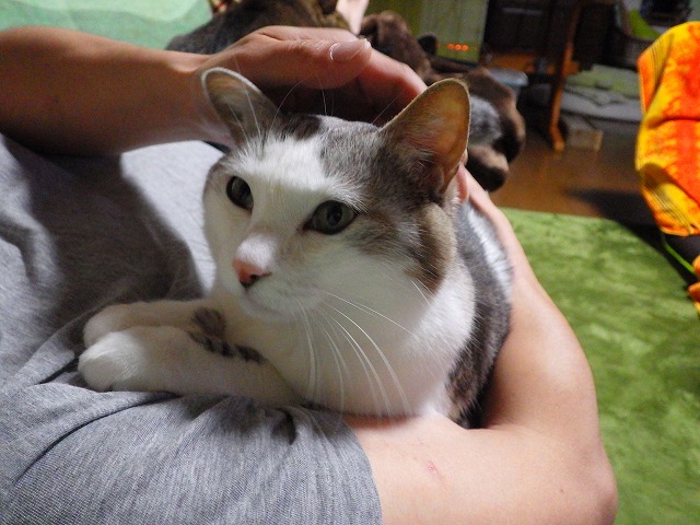 a0159490_162388.jpg