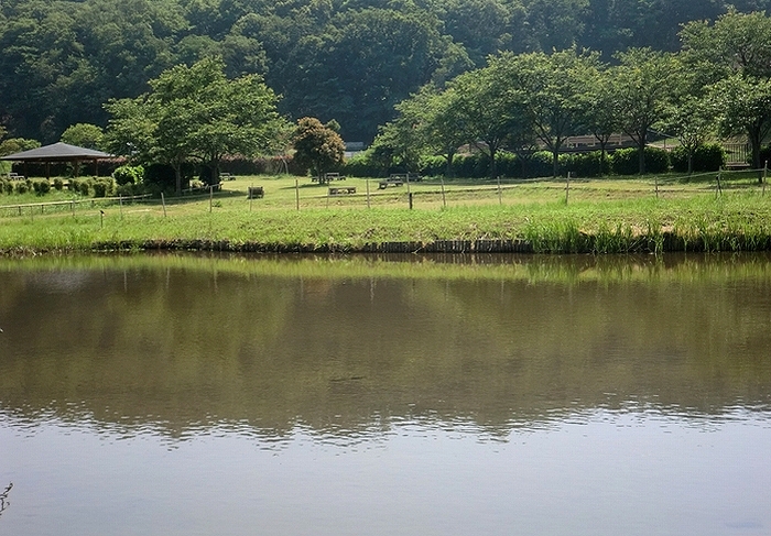 e0143690_6433541.jpg