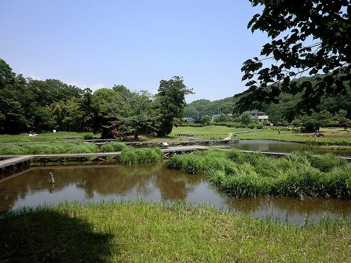 e0143690_6434643.jpg