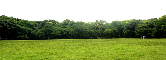 f0322193_16075158.jpg