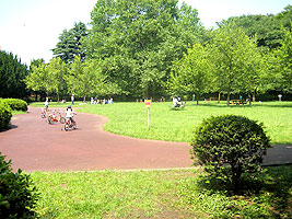 f0322193_16081742.jpg