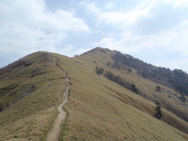 c0147398_16161465.jpg