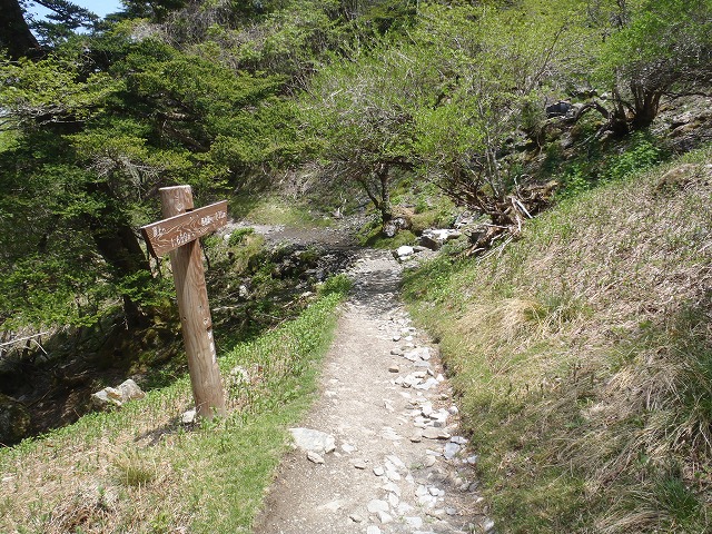 c0147398_1616241.jpg