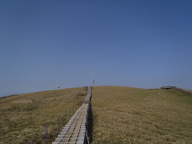 c0147398_1616597.jpg