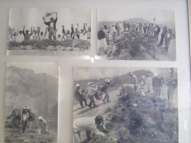 c0147398_1693539.jpg