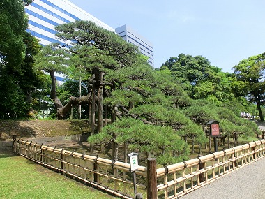 c0187004_2261267.jpg