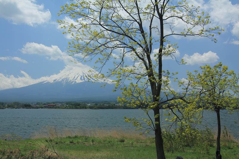a0188405_0353140.jpg