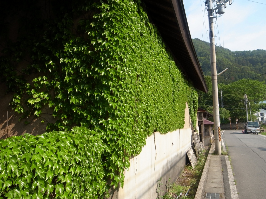 b0050305_847990.jpg