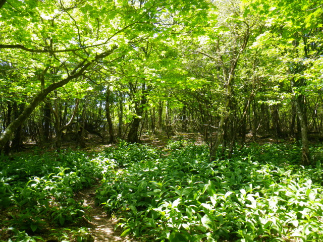 d0006512_16571615.jpg
