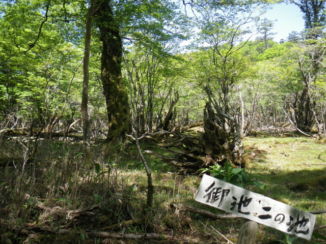 d0006512_16594096.jpg