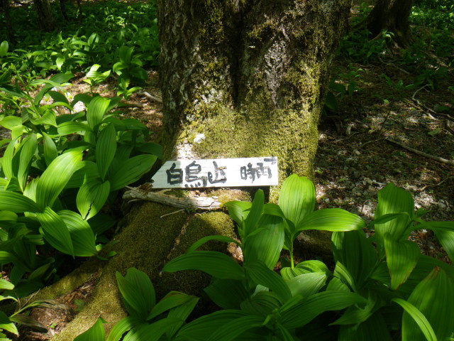 d0006512_17183944.jpg