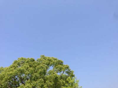 e0239912_2061987.jpg