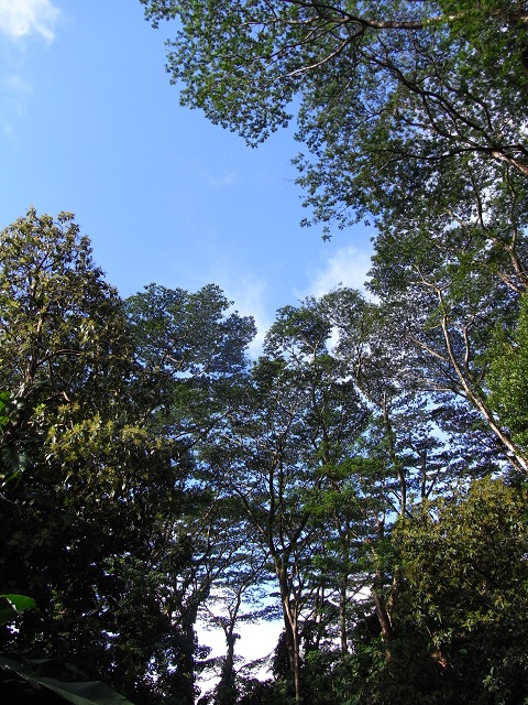b0309813_17541978.jpg
