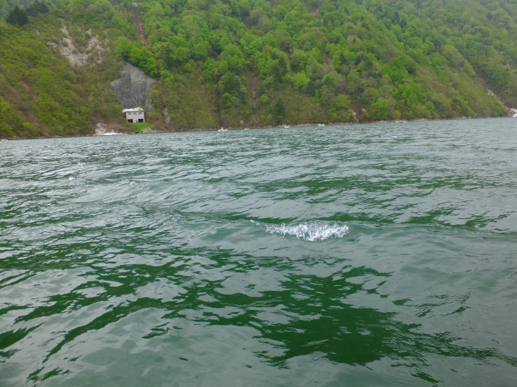 c0232813_19340105.jpg