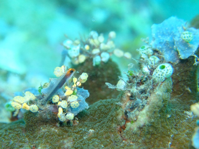 c0211615_1135273.jpg