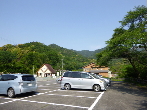 d0170615_1063259.jpg