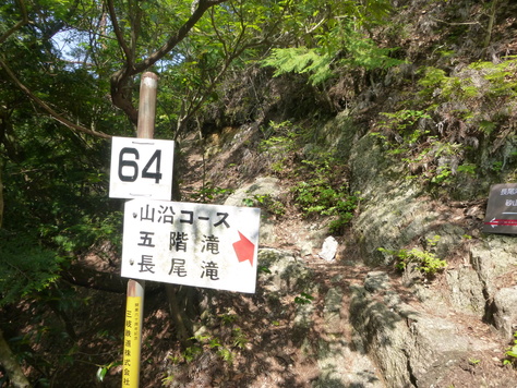 d0170615_1072110.jpg