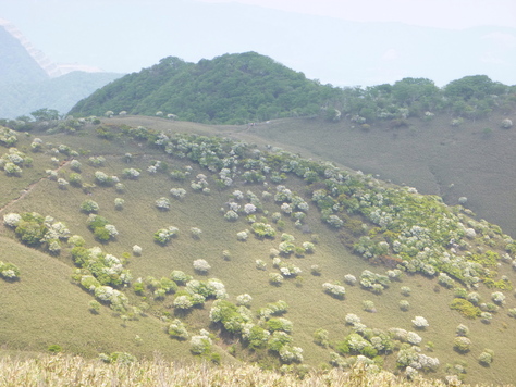 d0170615_109435.jpg