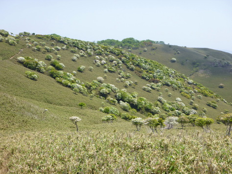 d0170615_109736.jpg