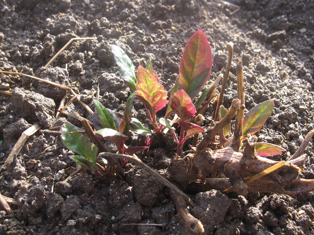 c0094218_2223030.jpg