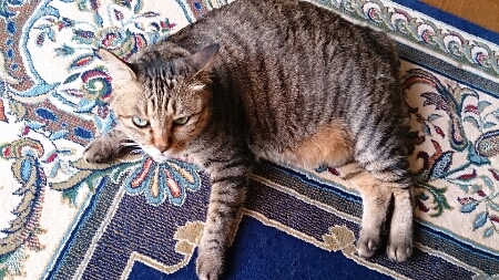 f0220919_16521042.jpg