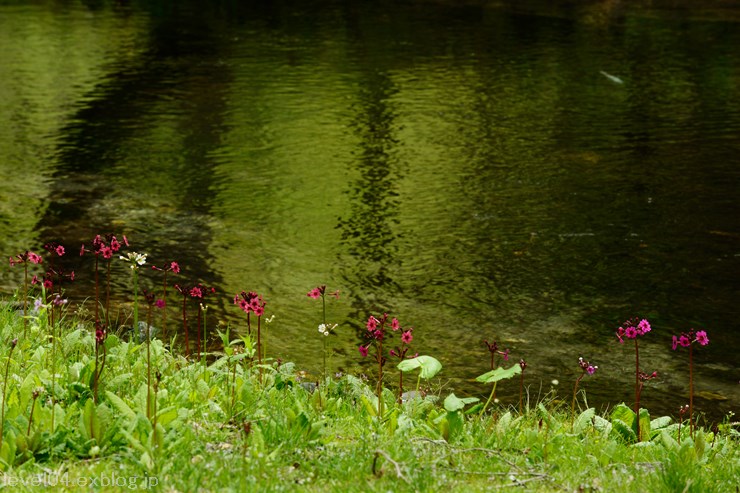 d0319222_21241033.jpg