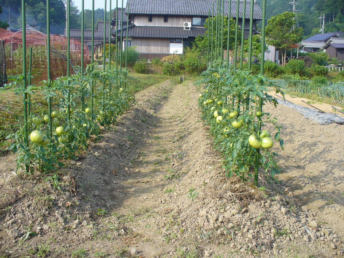 f0346527_2303119.jpg