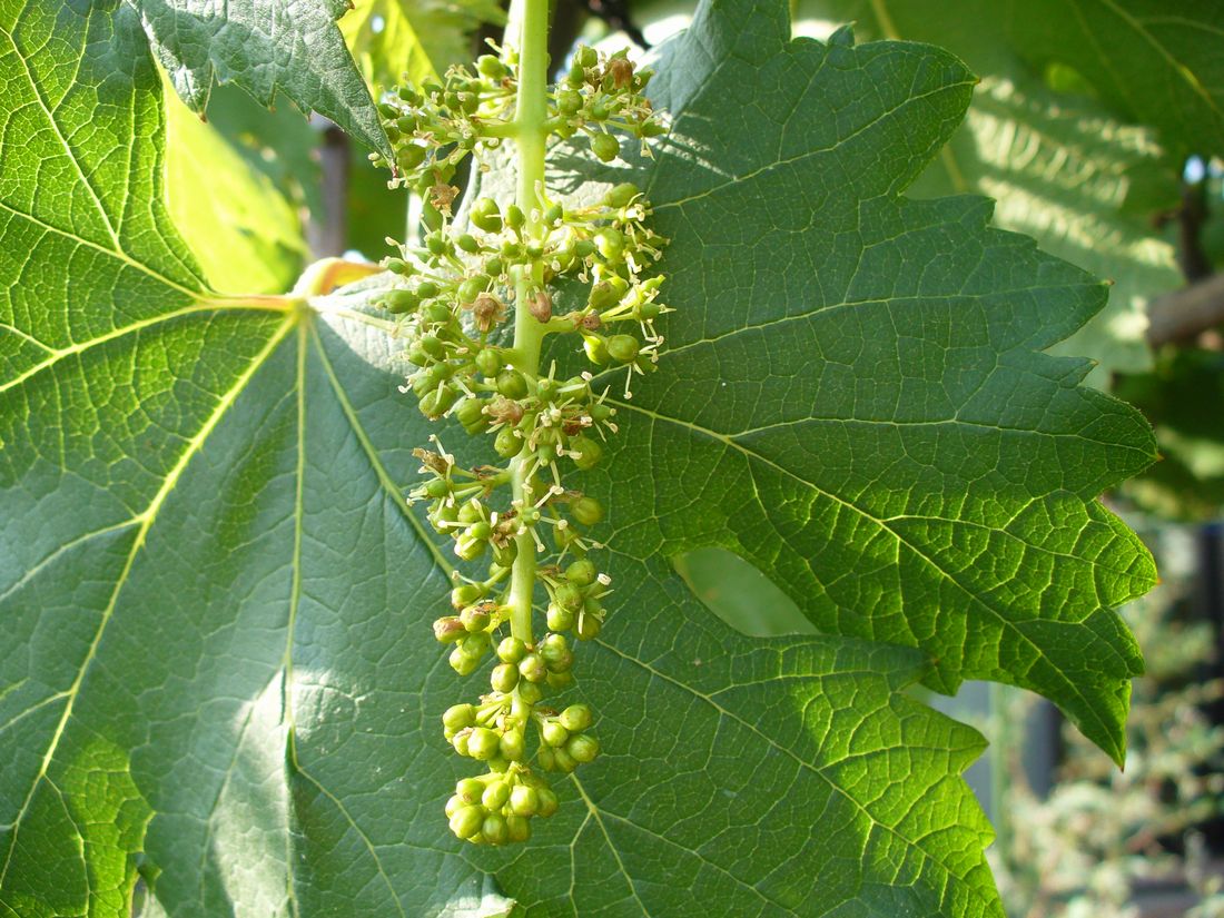 f0346527_2385120.jpg