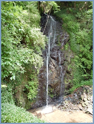 e0033229_22375263.jpg
