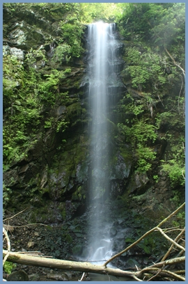 e0033229_22582494.jpg