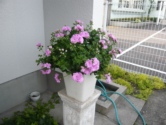 a0206332_9574219.jpg