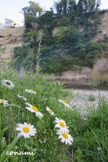 e0291638_20494763.jpg