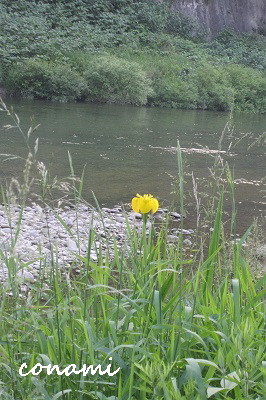 e0291638_21044631.jpg