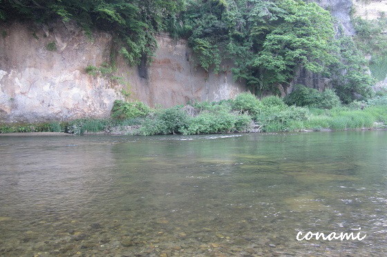 e0291638_21104733.jpg