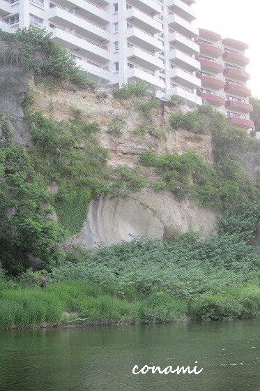 e0291638_21133976.jpg