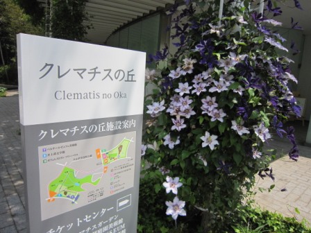c0025140_2012358.jpg