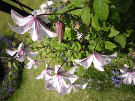 c0025140_20125399.jpg