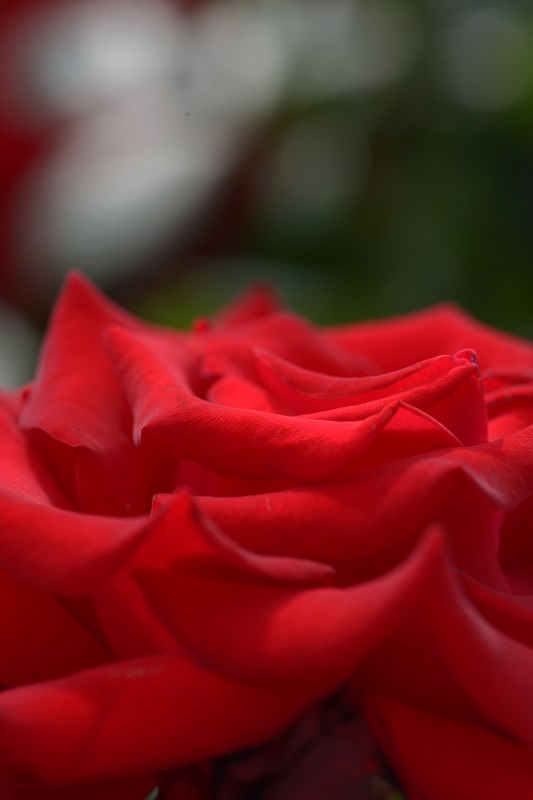 e0095142_1624273.jpg