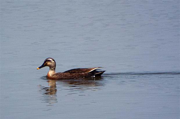 f0214649_15134322.jpg