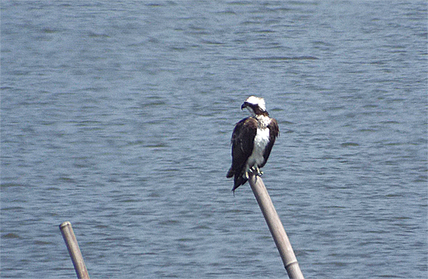 f0214649_15214372.jpg