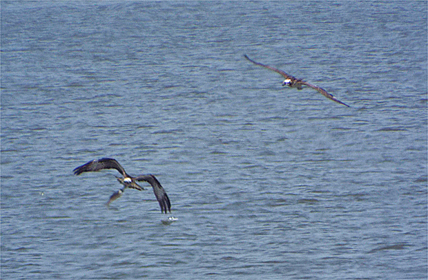 f0214649_1525767.jpg