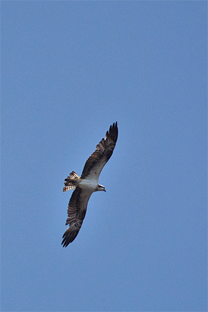 f0214649_15263756.jpg