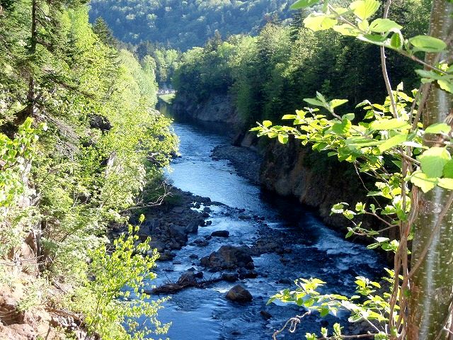 c0097652_2061775.jpg