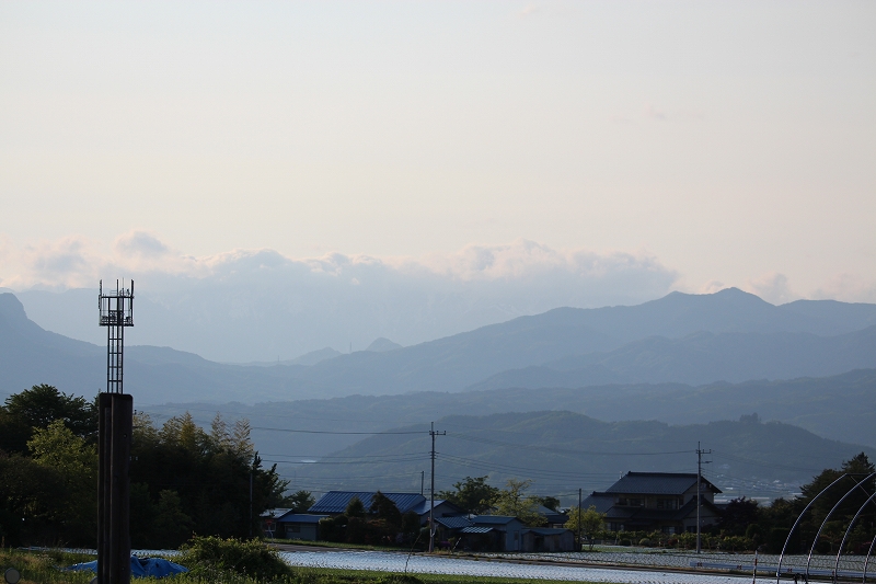 b0250154_618573.jpg