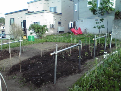 f0057955_20311595.jpg